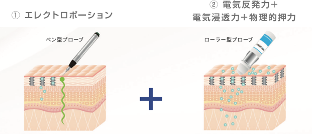 真皮層まで導入できる